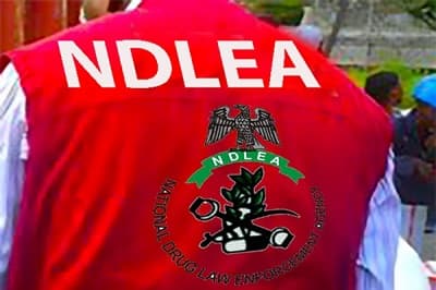 NDLEA Nabs Ex-Footballer, Businessmen Over Cocaine, Meth, Tramadol Trafficking