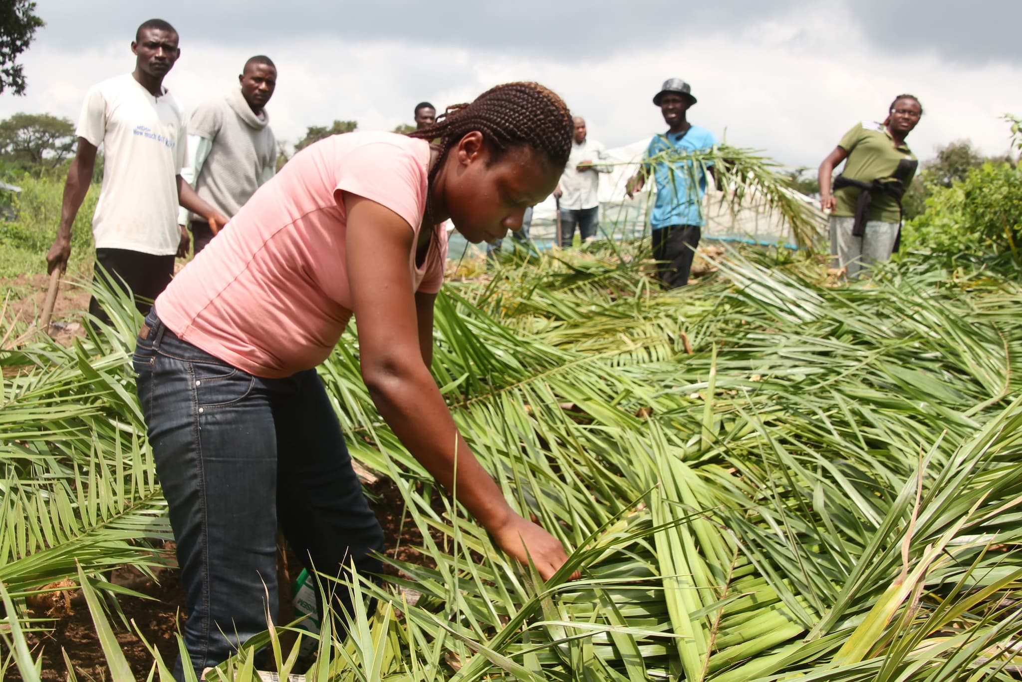 2SCALE, Psaltery farms, model a profitable path for Nigeria’s food sector By Queen Phillips 
