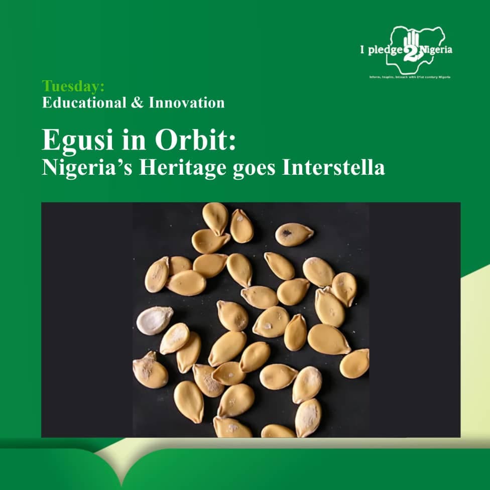 Egusi in Orbit: Nigeria’s Heritage Goes Interstellar