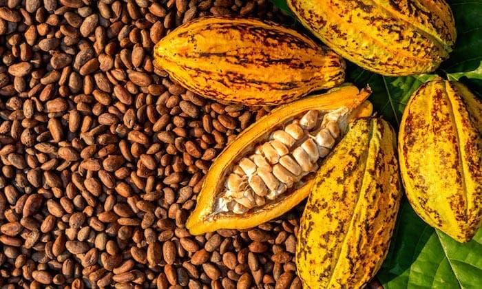 Nigeria Records Historic Cocoa Export Earnings Amid Global Price Surge
