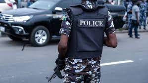 Analyst Criticizes Police Over Handling of #FreeNnamdiKanu Protest in Abuja