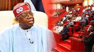 Tinubu Seeks N1.15 Trillion Domestic Loan to Fund 2025 Budget Deficit
