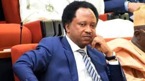 Shehu Sani Says Igbo Residents in the North Have No Plans to Leave Despite Security Tensions