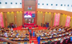 Senate Declares Ogijo Lead Poisoning a National Emergency, Orders Immediate Medical and Environmental Response