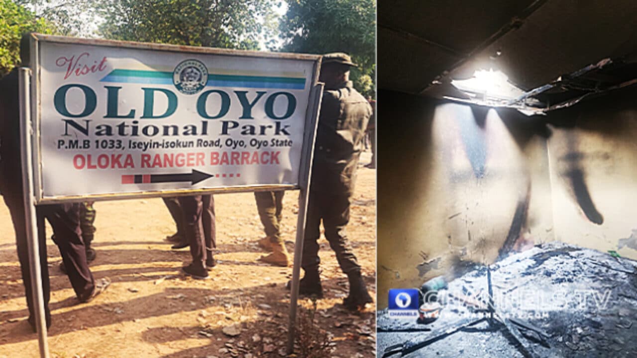 Police Deploy More Operatives to Oyo National Park After Gunmen Kill Five Rangers