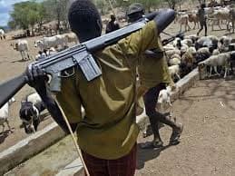 Gunmen Kill Four in Fresh Midnight Attack on Benue Community