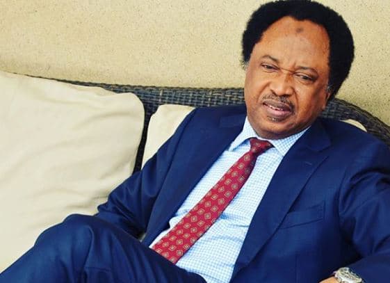 Shehu Sani Says UN Risks Irrelevance Amid US Funding Withdrawal
