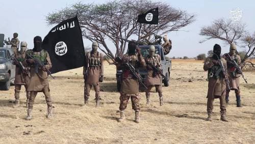 Insurgents Attack Food Trucks Along Monguno–Guzamala Road in Borno