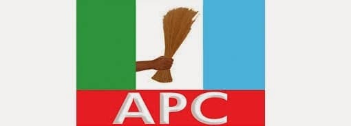 APC Chairman Reveals Nearly Half of Party Members Are Youths