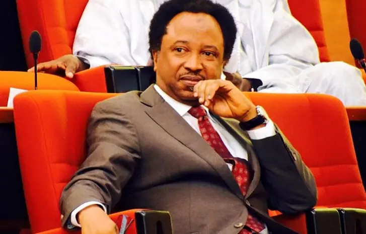 Shehu Sani Reacts to Viral Exploitation Case, Urges Stricter Immigration and Caution