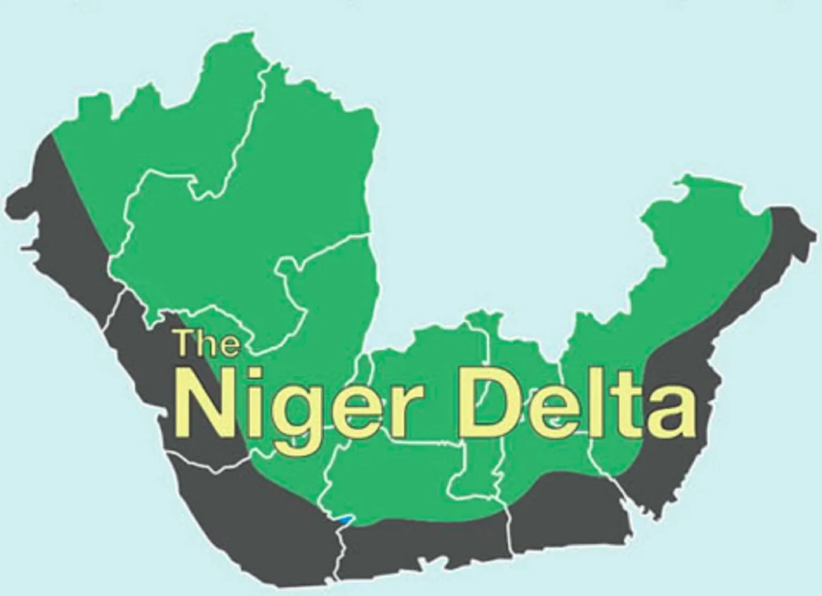 Niger Delta Group Seeks Tinubu’s Review of Pipeline Surveillance Deal