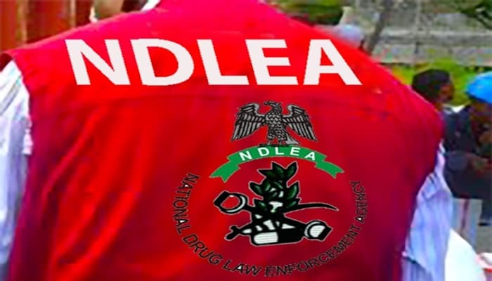 NDLEA arrest  drug kingpin after 13 years in hiding over cocaine, heroin shipments