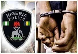 Police Arrest 14 Suspects Over Robbery, Kidnapping, Illegal Mining in Niger