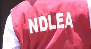 NDLEA Arrests 132 Suspects, Seizes Over 220kg of Drugs in Abuja Crackdown