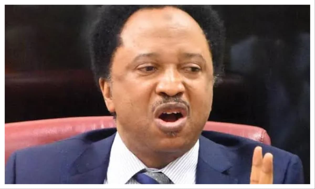 Shehu Sani Reacts to NDC Dispute, Says Tinubu Not to Blame for Party Crises