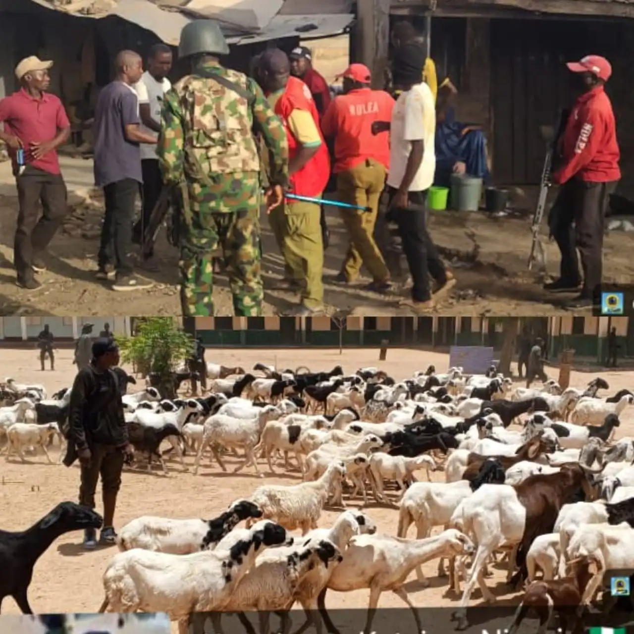 Troops Neutralise Terrorists, Recover 175 Livestock in Katsina Operations
