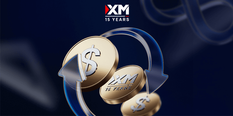Another Investment Platform ‘XM’ Crashes, Trapping Users’ Funds