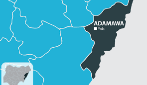 Hong LGA Chairman Raises Alarm Over Persistent Insurgent Attacks in Adamawa