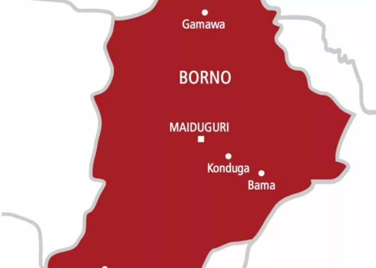 Suspected Boko Haram Informant Arrested During Security Operation in Borno