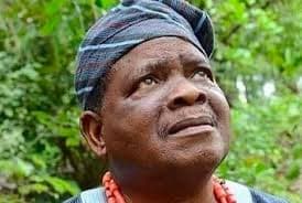Veteran Actor and Scholar, Professor Kola Oyewo, Dies at 80