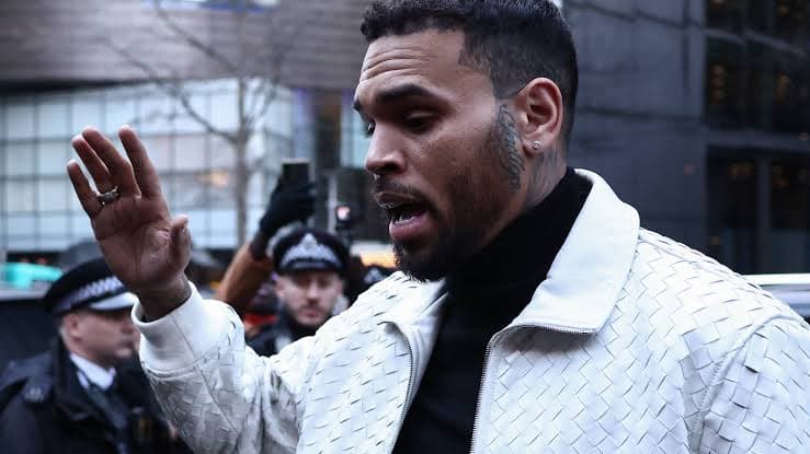 Chris Brown Ordered to Pay Nearly $13 Million After Housekeeper Mauled by Dog