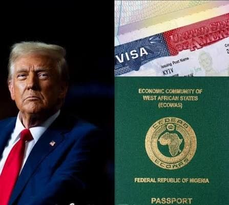 US Publishes Names, Photos of 124 Nigerians on Deportation List