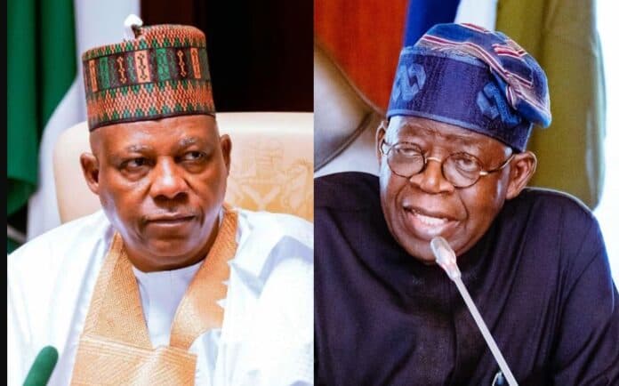 Seyi Tinubu Is More Powerful Than Shettima in This Government – Kwankwasiyya Spokesperson