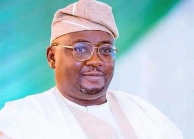 Minister of Power Calls for Capital Punishment for Electricity Infrastructure Vandals