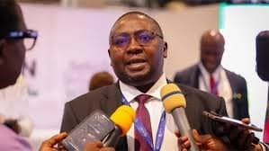 FG to Spend just N8bn on Sensitizing Nigerians on Electricity Bill Payments – Adebayo Adelabu
