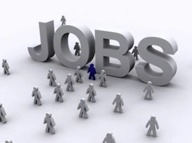 Nigeria’s top 7 open positions as of January 13, 2025
