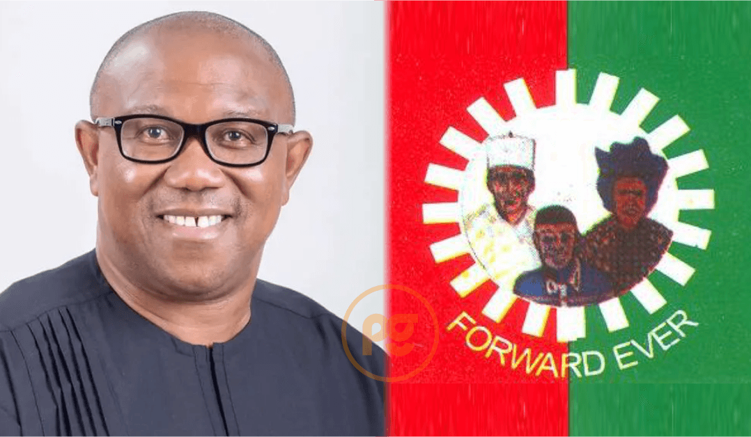 LP Chieftain Urges Obi to Ignore Calls …To Join PDP